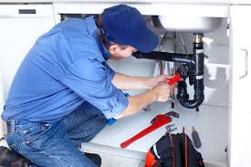 Best Garbage Disposal Repair and Installation  in Columbiana, AL